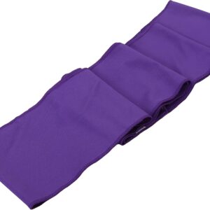 Fun and Function's Stretch Bands for Resistance Exercise and Sensory Stimulation, Encourages Active Movement and Heavy Work for Use at Home, School, or in The Clinic - Purple Size Small 38.5” X 6"